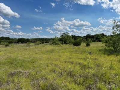 10 acres near Bangs in Brown County TX - image 12