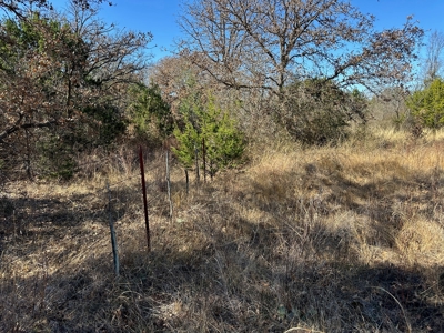 10 acres near Bangs in Brown County TX - image 5