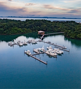 Oceanfront Luxury on Pearl Island, Residences and Villas - image 3