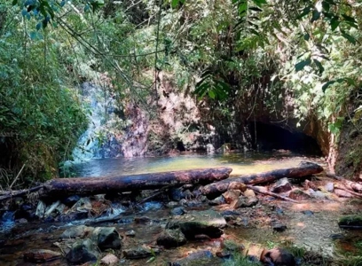 Luxurious Estate for Sale in the Coffee Region in Colombia - image 11