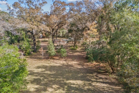 Home and Land For Sale in Gainesville, FL - image 10