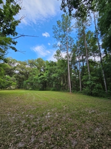 Home and Land For Sale in Gainesville, FL - image 47