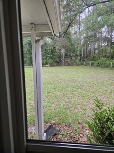 Home and Land For Sale in Gainesville, FL - image 49