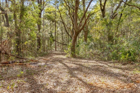 Home and Land For Sale in Gainesville, FL - image 42