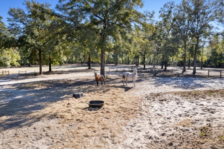 3 bedroom 2 bathroom 2000 Mobile home on 14.87 Acres - image 18