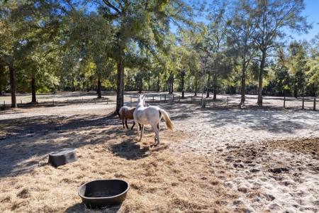 3 bedroom 2 bathroom 2000 Mobile home on 14.87 Acres - image 17