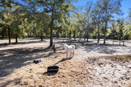 3 bedroom 2 bathroom 2000 Mobile home on 14.87 Acres - image 16