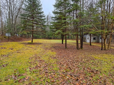 Charming Country Home in Princeton, Maine - image 8