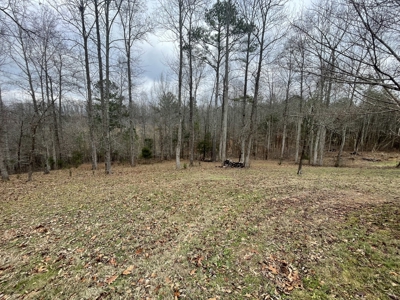 Country Home For Sale in TN Near Nashville and Huntsville - image 40