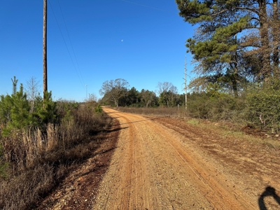 The Burnside Road Tract in Louisiana - image 3
