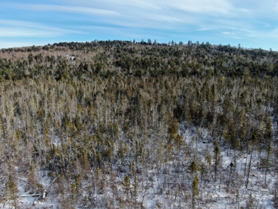Secluded Cabin on 550 Acres with Stunning Views & Privacy - image 8
