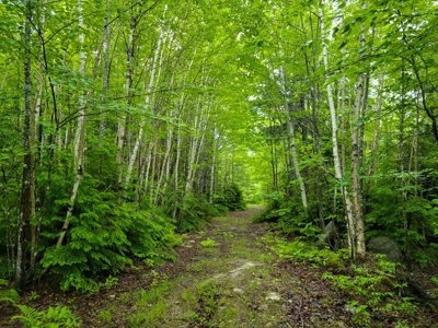 Secluded Cabin on 550 Acres with Stunning Views & Privacy - image 2