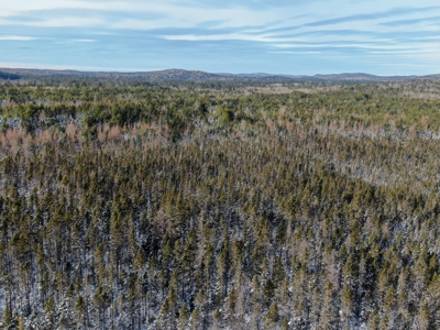 Secluded Cabin on 550 Acres with Stunning Views & Privacy - image 5