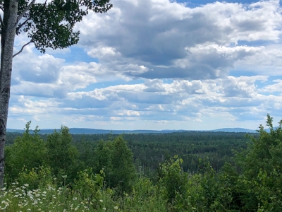 Secluded Cabin on 550 Acres with Stunning Views & Privacy - image 32