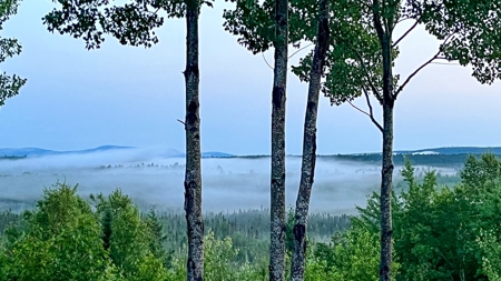 Secluded Cabin on 550 Acres with Stunning Views & Privacy - image 28