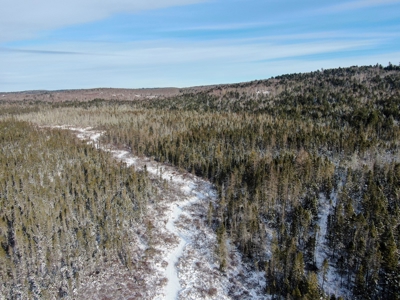Secluded Cabin on 550 Acres with Stunning Views & Privacy - image 6