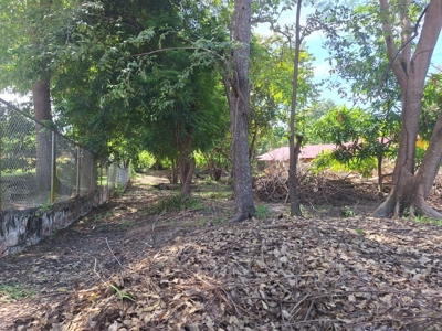 1,000 m² Lot in Coronado – Near the Beach and Amenities - image 7