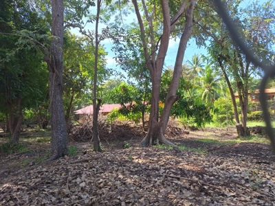 1,000 m² Lot in Coronado – Near the Beach and Amenities - image 5