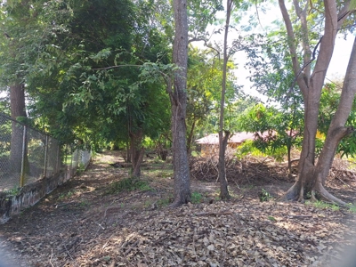 1,000 m² Lot in Coronado – Near the Beach and Amenities - image 8