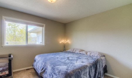 Country Home With Private Airstrip - image 25