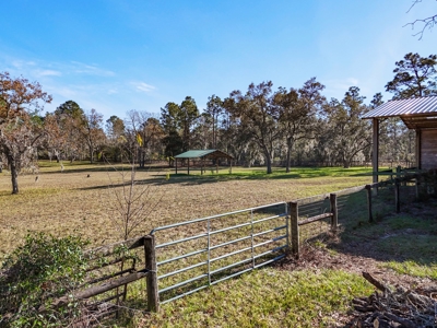 Country Home on 5 Acres in Morriston, FL - image 39