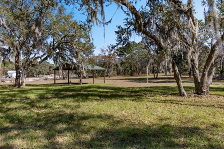 Country Home on 5 Acres in Morriston, FL - image 41