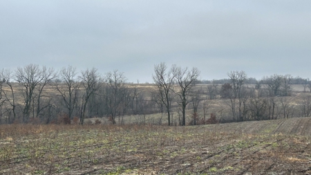 Row Crop Ground in Northwest Missouri - image 2