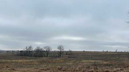 Row Crop Ground in Northwest Missouri - image 5