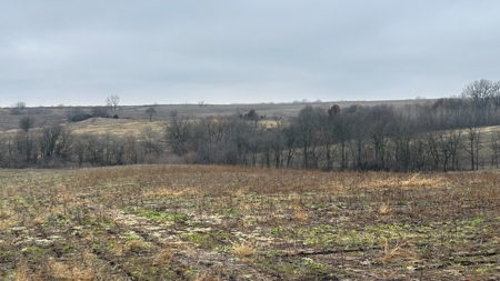 Row Crop Ground in Northwest Missouri - image 3