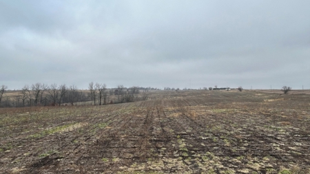 Row Crop Ground in Northwest Missouri - image 1