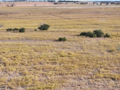 "Your 10-Acre Texas Retreat Awaits Jonesboro Tx!" - image 12