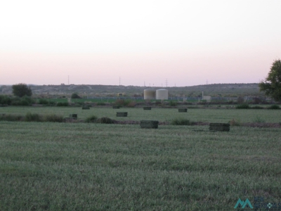 Horse Property For Sale with Water Rights in Carlsbad NM - image 4