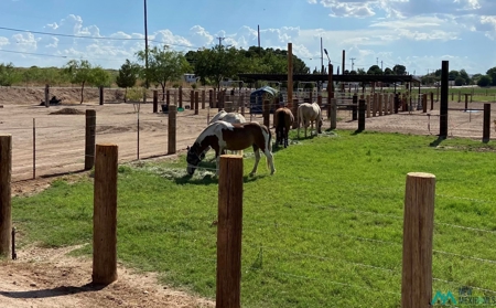 Horse Property For Sale with Water Rights in Carlsbad NM - image 5
