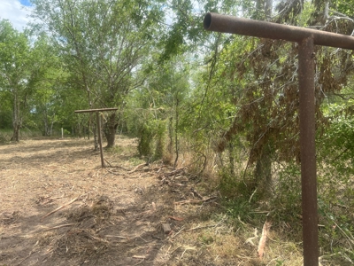 Country Living Home Site in  Live Oak County, TX - image 11