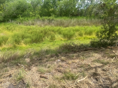 Country Living Home Site in  Live Oak County, TX - image 8