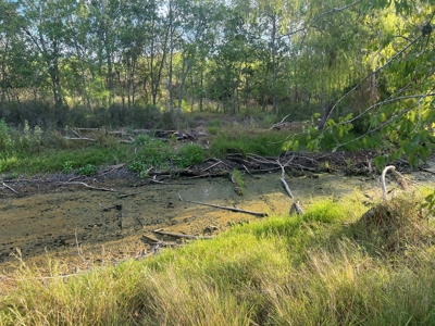 Country Living Home Site in  Live Oak County, TX - image 21