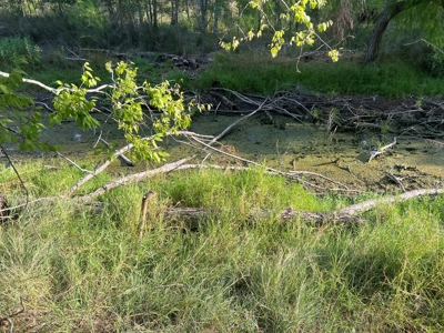 Country Living Home Site in  Live Oak County, TX - image 18