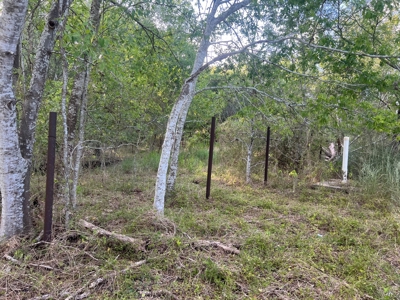 Country Living Home Site in  Live Oak County, TX - image 23