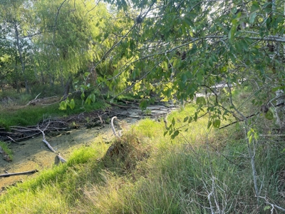 Country Living Home Site in  Live Oak County, TX - image 22