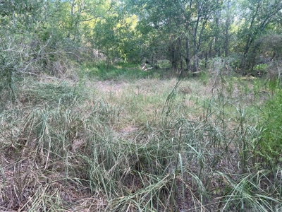 Country Living Home Site in  Live Oak County, TX - image 17