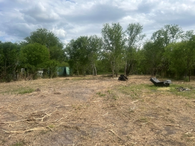 Country Living Home Site in  Live Oak County, TX - image 3