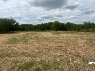 Country Living Home Site in  Live Oak County, TX - image 5