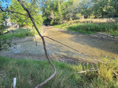 Country Living Home Site in  Live Oak County, TX - image 20