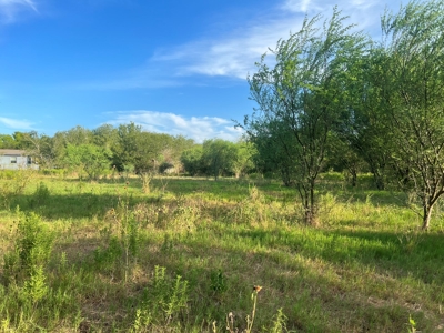 Country Living Home Site in  Live Oak County, TX - image 13