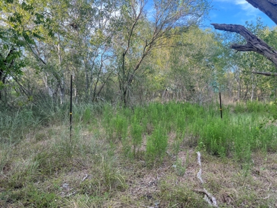 Country Living Home Site in  Live Oak County, TX - image 24