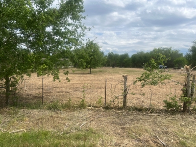 Country Living Home Site in  Live Oak County, TX - image 2