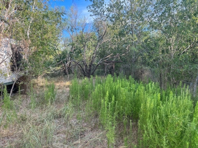 Country Living Home Site in  Live Oak County, TX - image 15