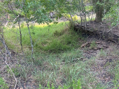 Country Living Home Site in  Live Oak County, TX - image 26