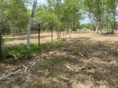 Country Living Home Site in  Live Oak County, TX - image 10