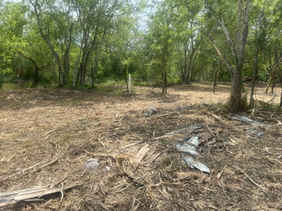 Country Living Home Site in  Live Oak County, TX - image 7